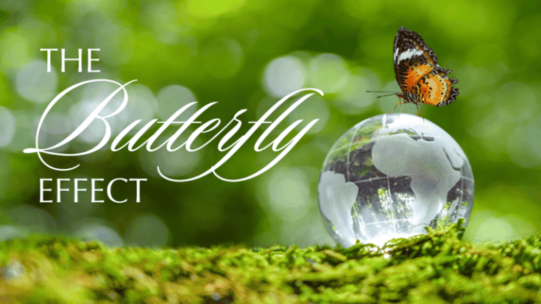 butterfly-effect